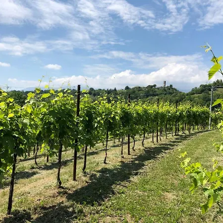 Farm stay Col Maor
