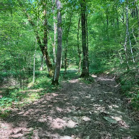 Séjour à la ferme Col Maor
